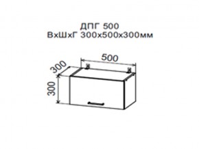 Шкаф верхний ДПГ500 горизонтальный в Полевском - polevskoj.магазин96.com | фото