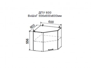 Шкаф верхний ДПУ600 угловой в Полевском - polevskoj.магазин96.com | фото